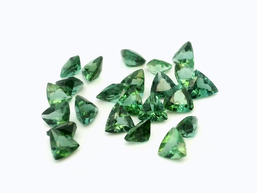 [TUGT04A] Green Tourmaline 4.00mm +/- Trilliant