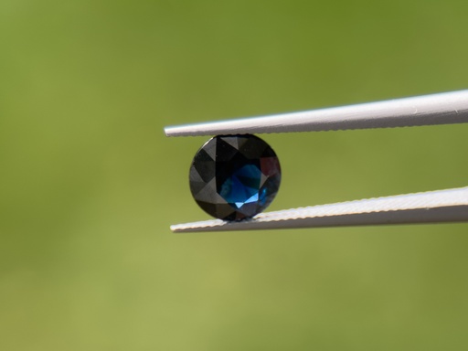 [SAX3663] Australian Sapphire 6.02mm Round Dark Blue