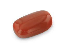 [CORAX3043] Red Coral 20x11.9mm Cushion Cabochon  