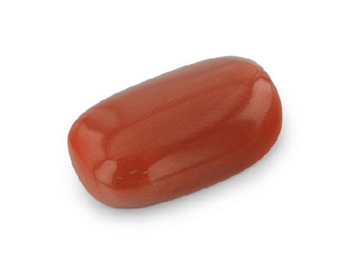 [CORAX3043] Red Coral 20x11.9mm Cushion Cabochon  
