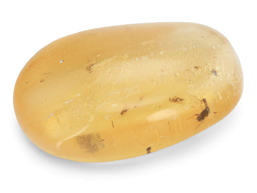 [AMBX3139] Colombian Copal Amber 45x30mm Free Form Oval