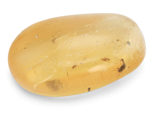 [AMBX3139] Colombian Copal Amber 45x30mm Free Form