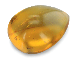 [AMBX3153] [AMBX3153] Dominican Amber 32x23mm Pear Shape no insects 