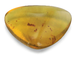 [AMBX3154] [AMBX3154] Dominican Amber 37x27mm Triangular no insects 