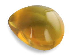 [AMBX3157] [AMBX3157] Dominican Amber 22x17mm Triangular F/form 
