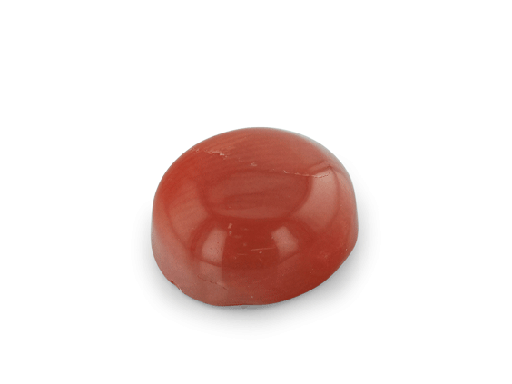 [CORAX3046] Red Coral 9x8mm Oval